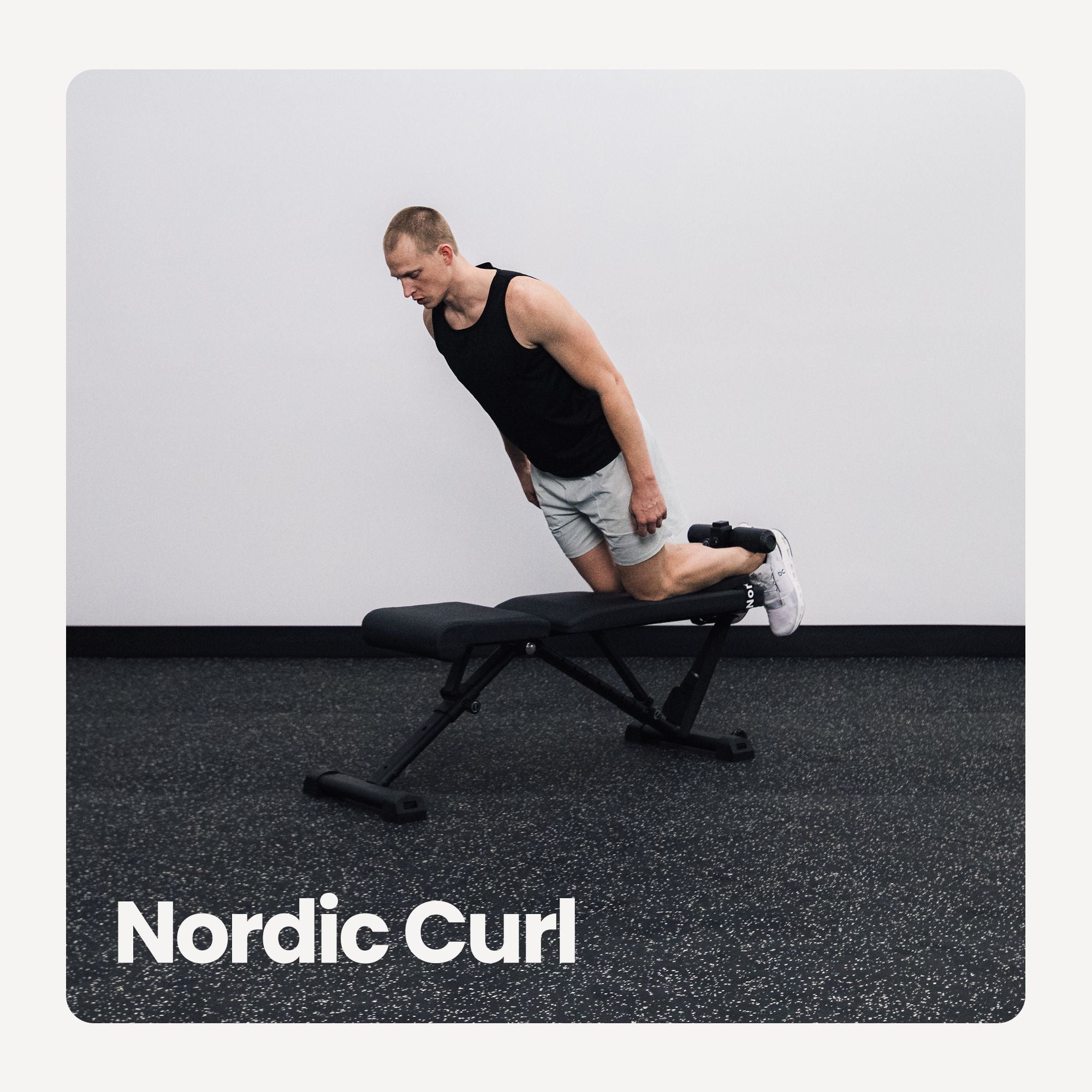 The EZ-Nord