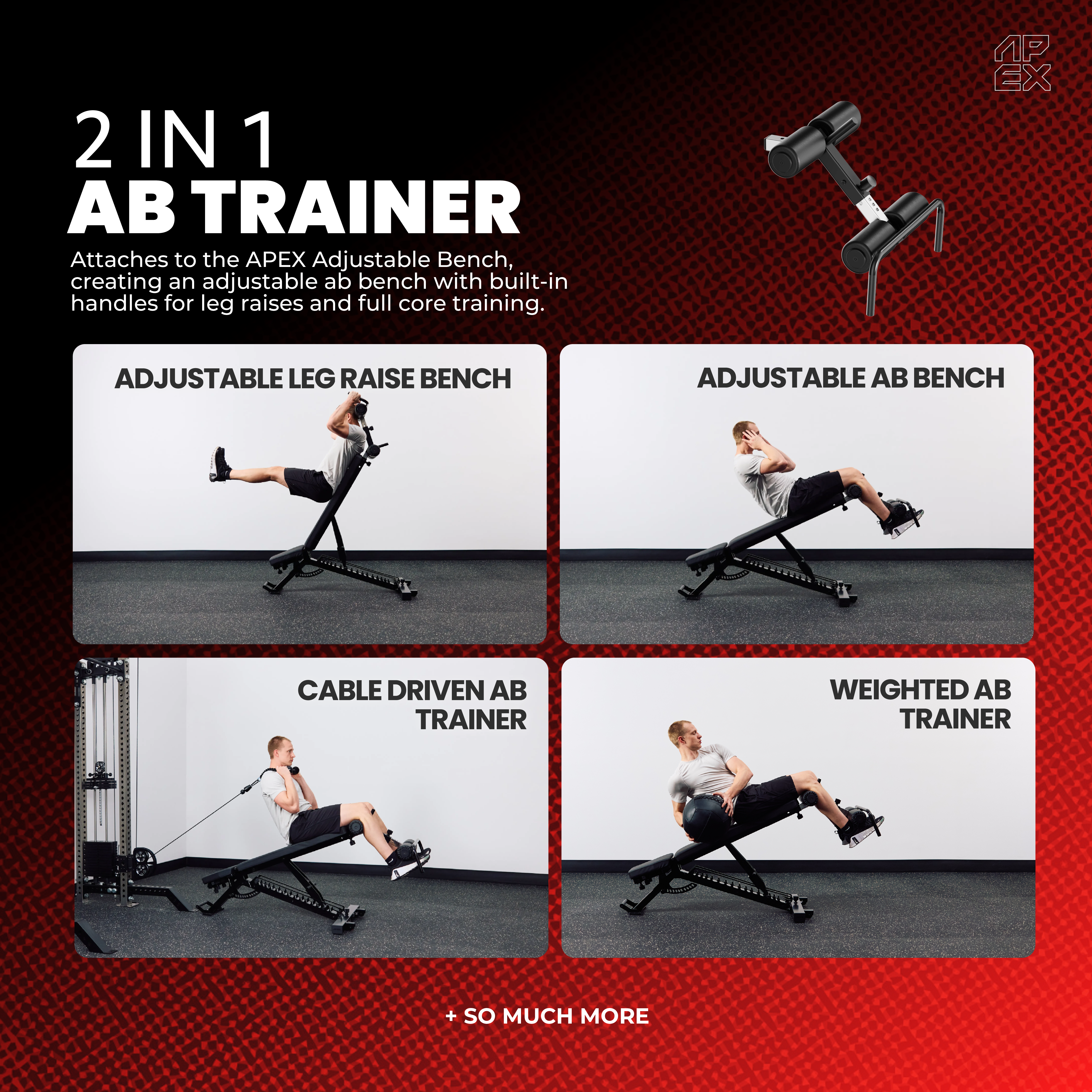 APEX Ab Trainer - Training