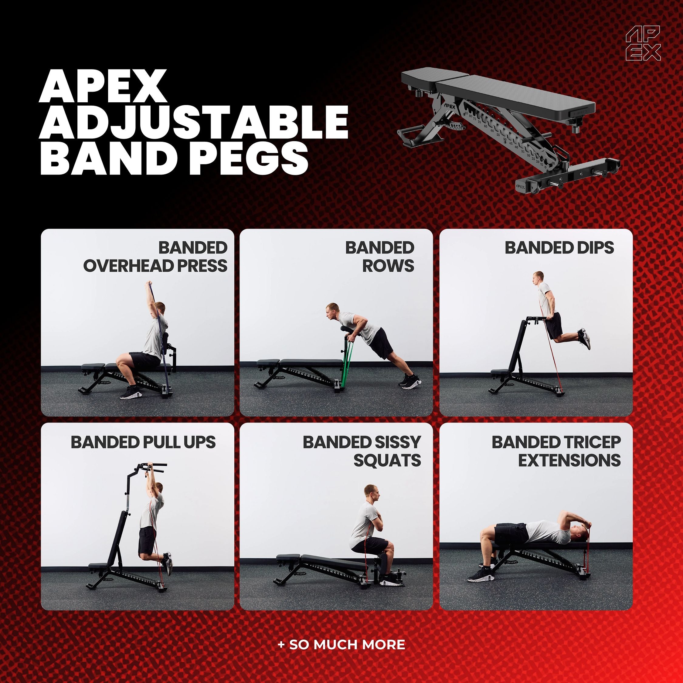 APEX Adjustable Band Pegs with 6 banded exercise variations.