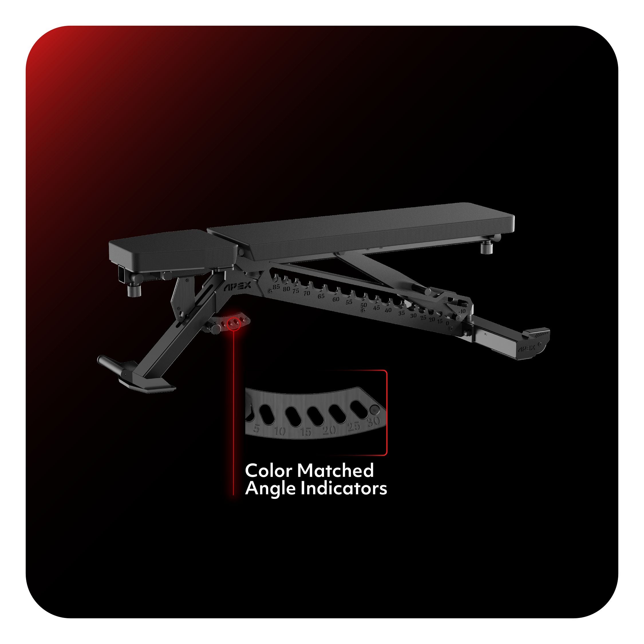 APEX Adjustable Bench with color matched angle indicators for precise adjustment.