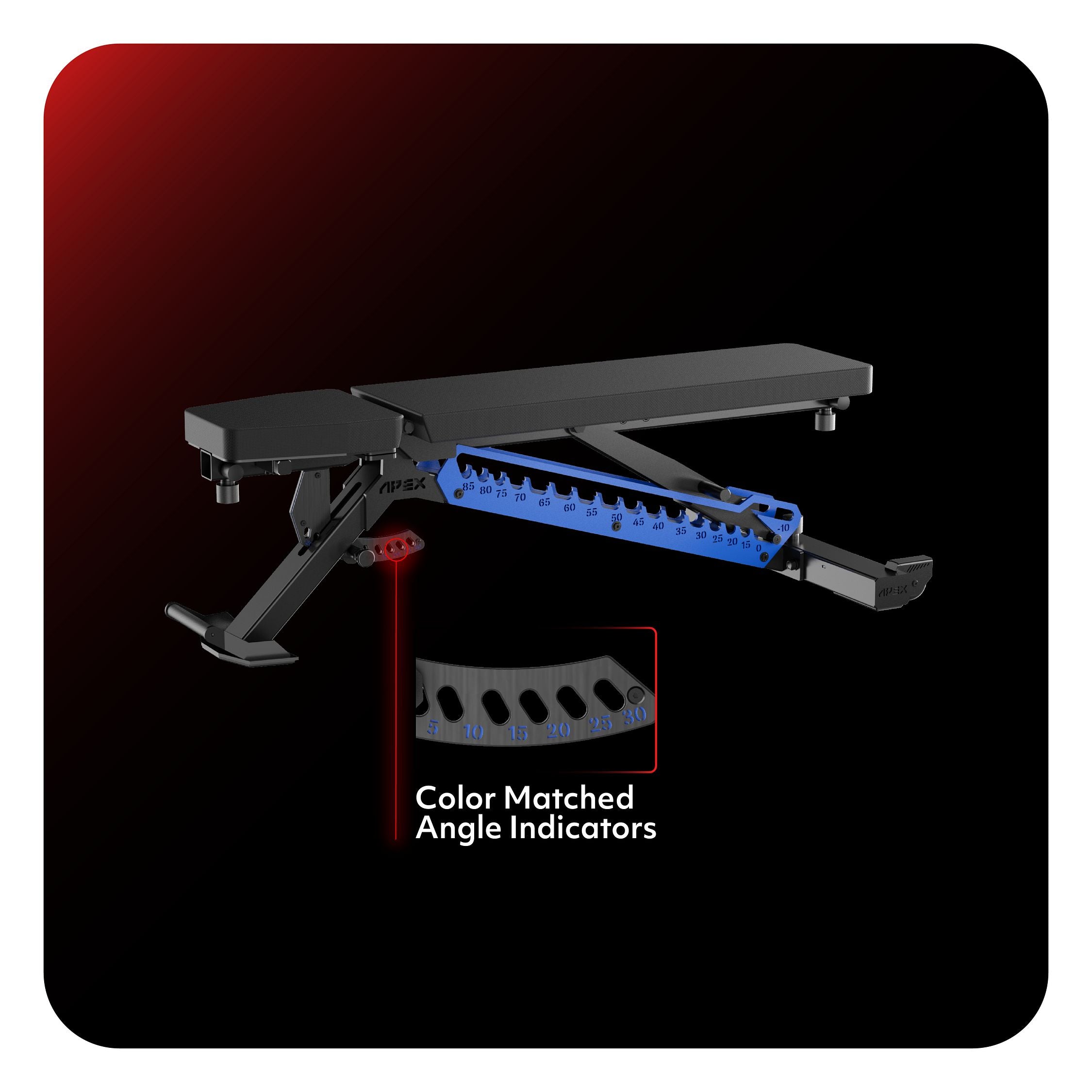 APEX Adjustable Bench Color Matched Angle Indicators in Blue