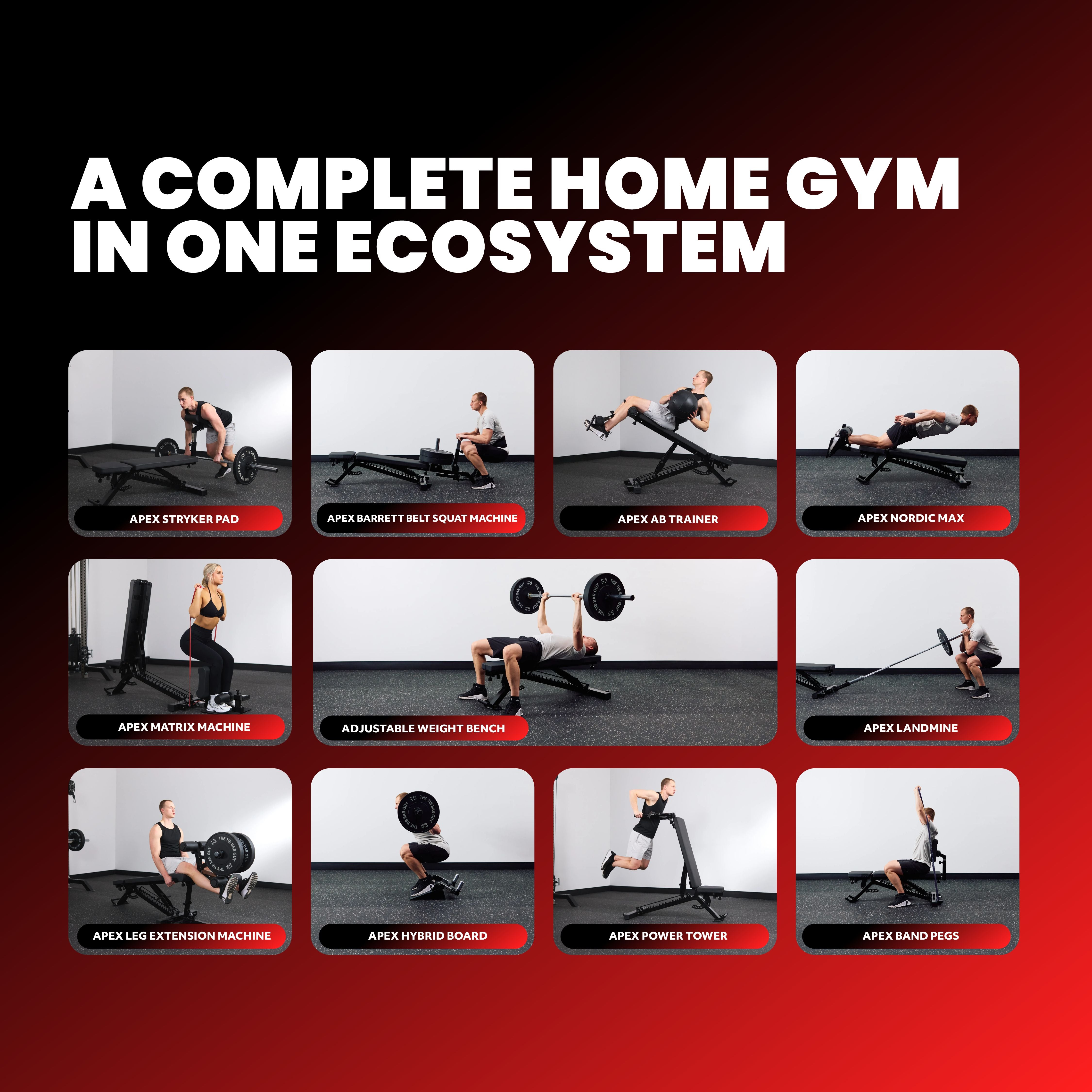 APEX Adjustable Bench - Ecosystem