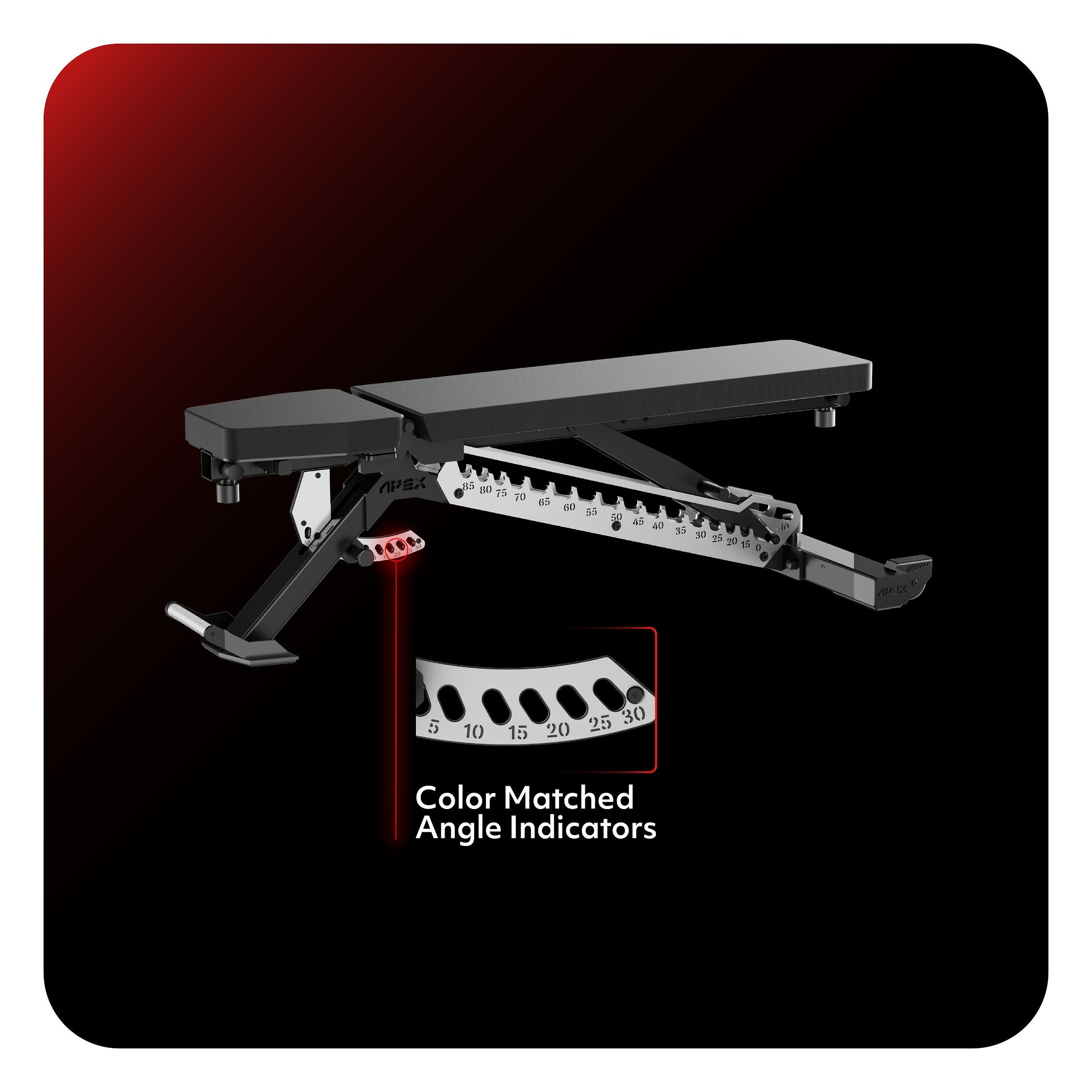 APEX Adjustable Bench in Stainless with color matched angle indicators.