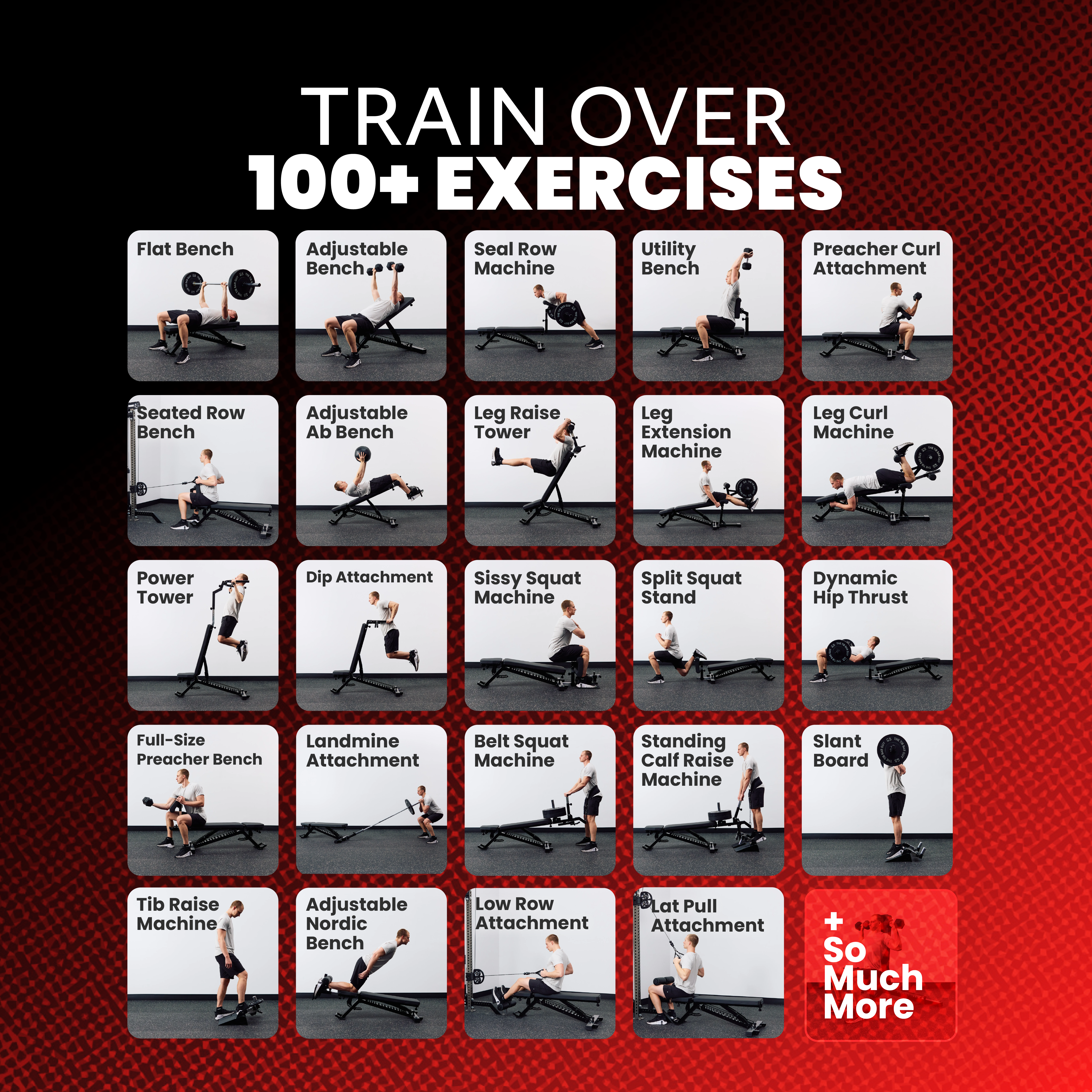 APEX Adjustable Bench Exercises