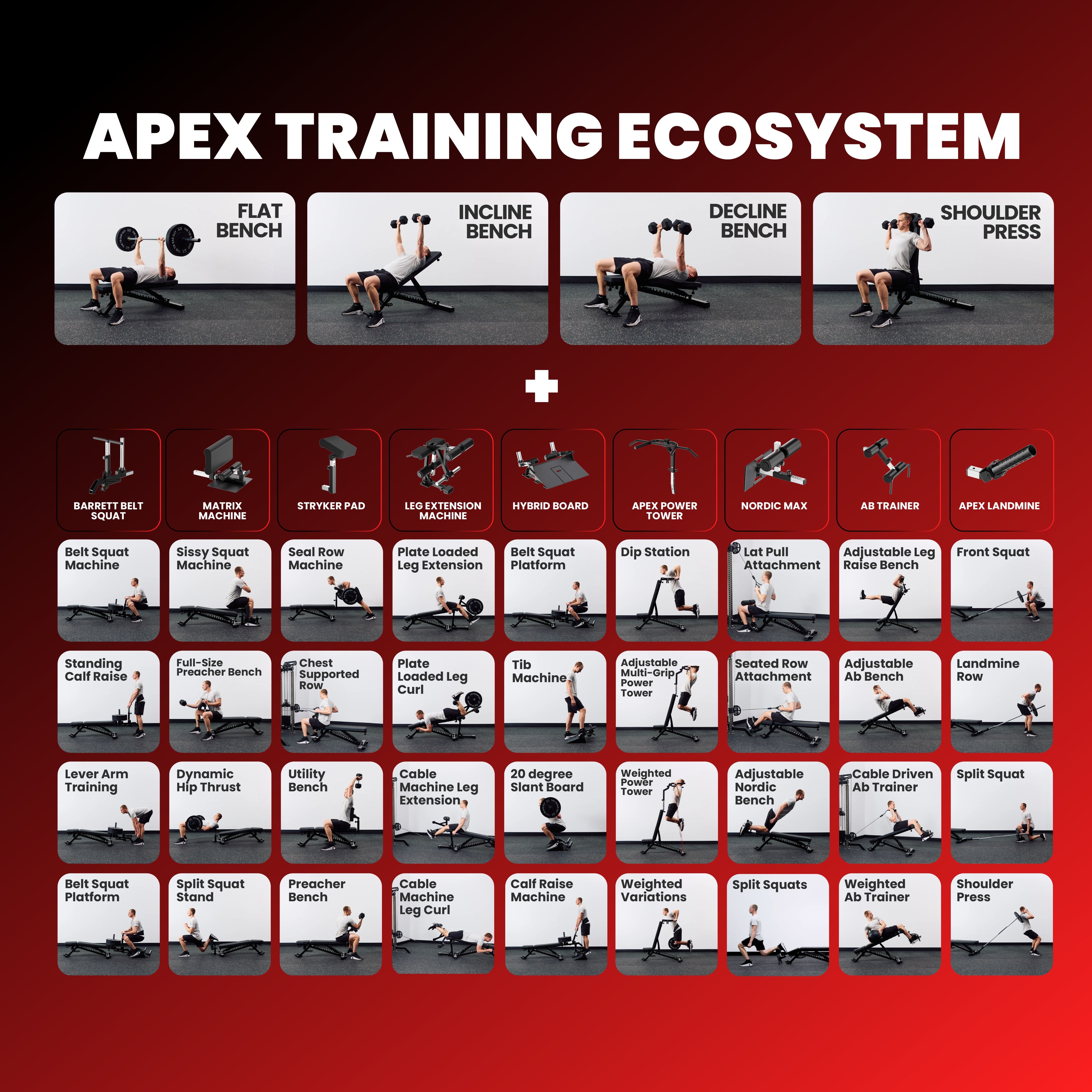 APEX Adjustable Bench Training