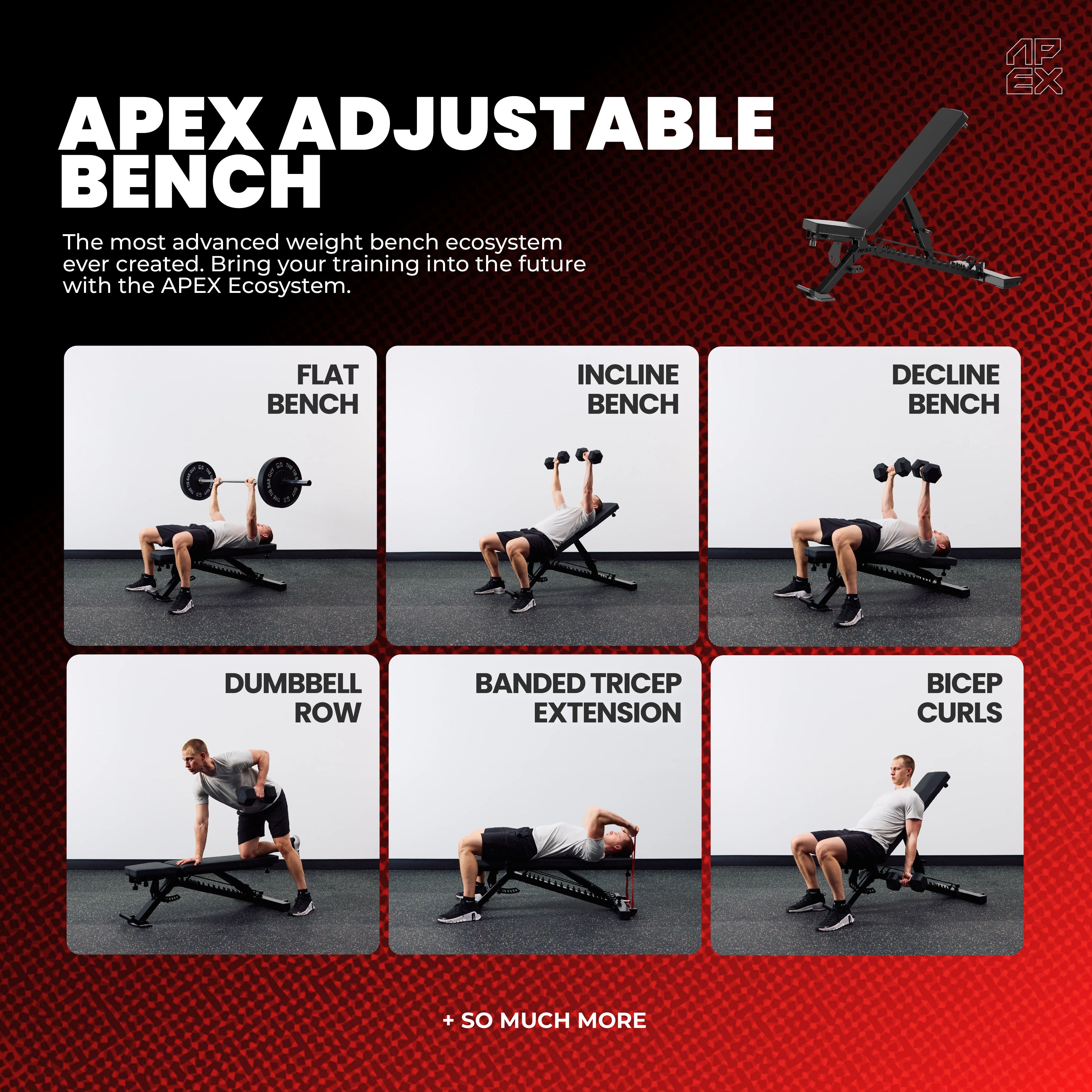APEX Adjustable Bench Training1