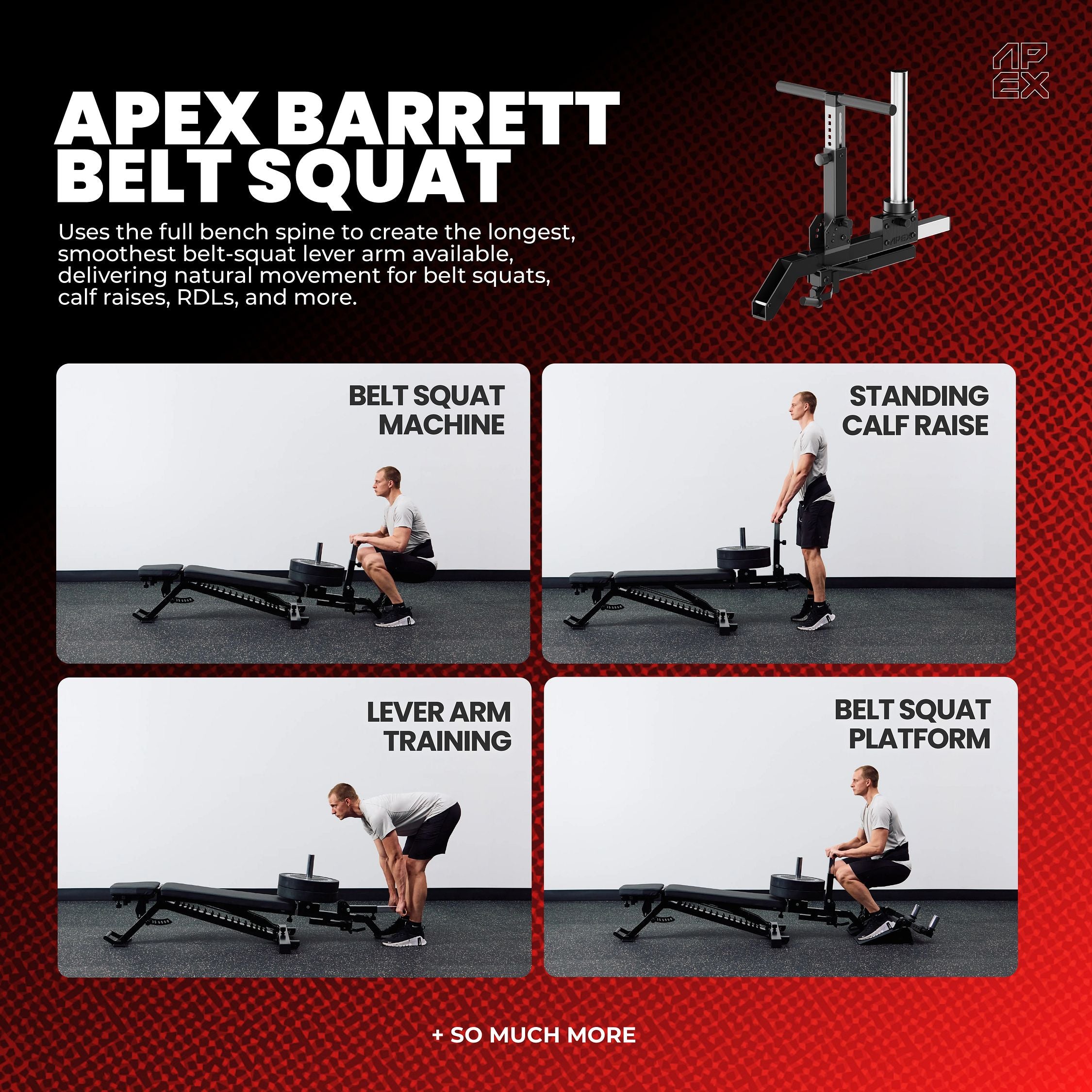 APEX Barrett Belt Squat with belt squats, calf raises, lever arm training, and squat platform.
