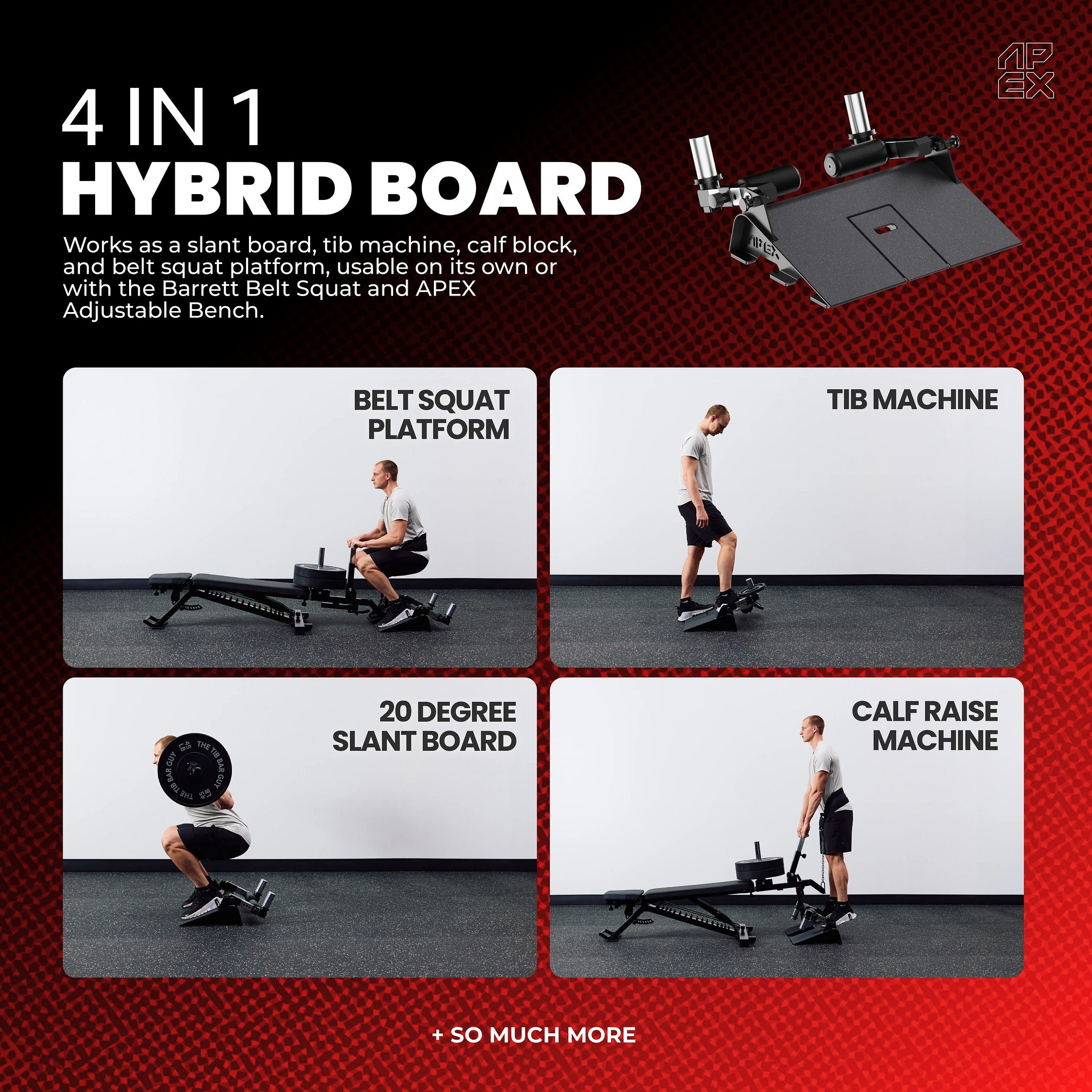 APEX Hybrid Board with belt squat, tib machine, slant board, and calf raise.