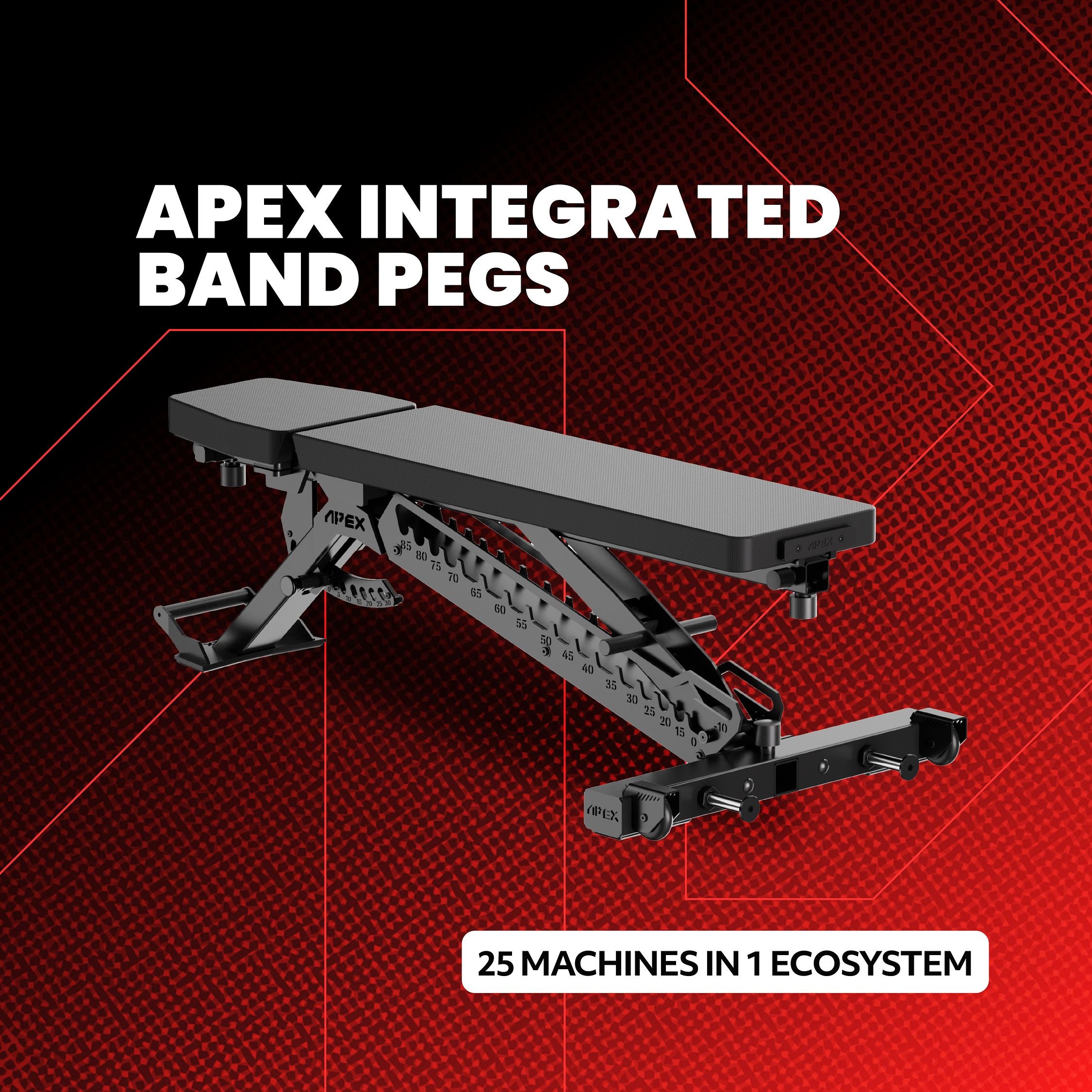 APEX Integrated Band Pegs attached to the APEX Adjustable Bench ecosystem.