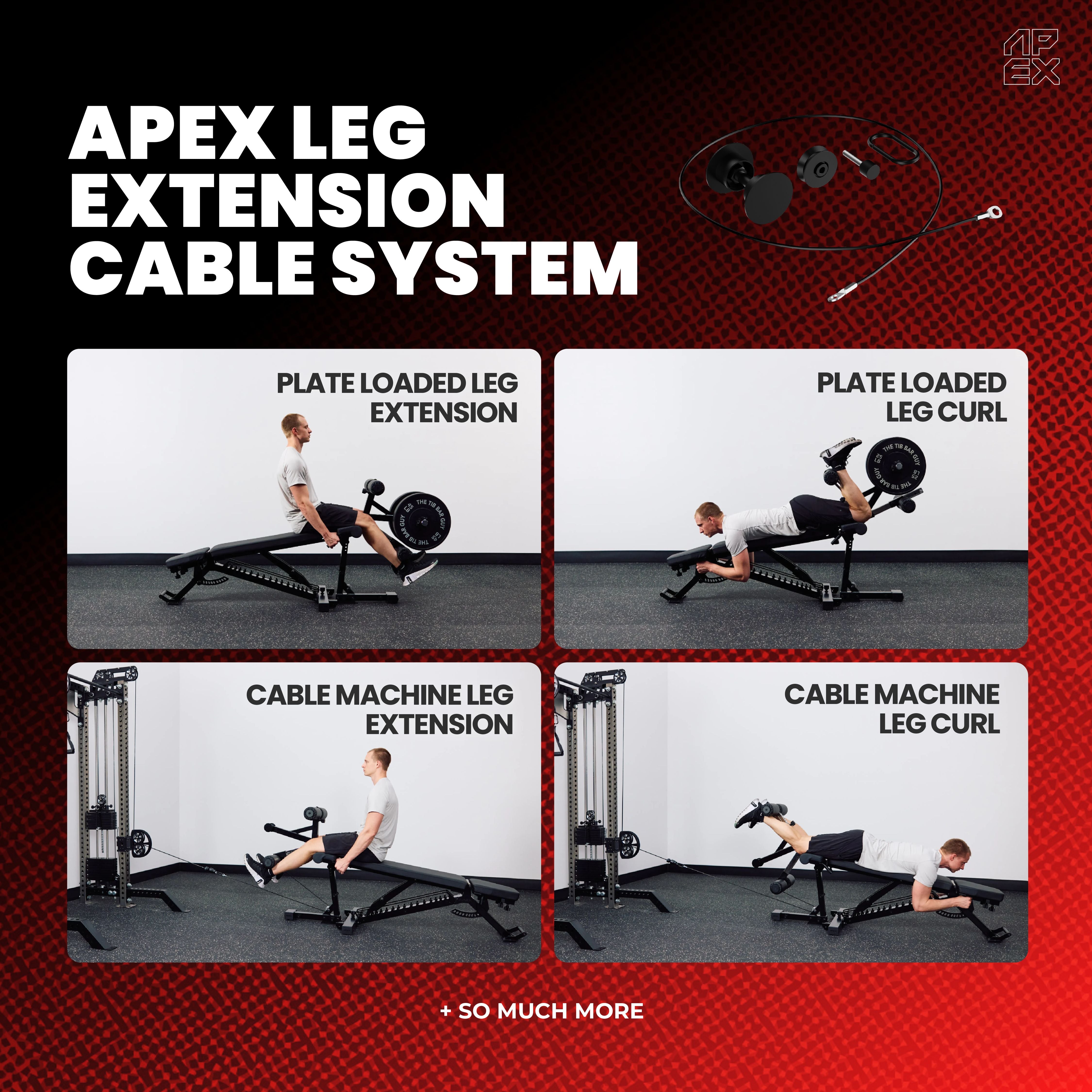 APEX Leg Extension Cable System with plate loaded and cable machine leg extensions and curls.