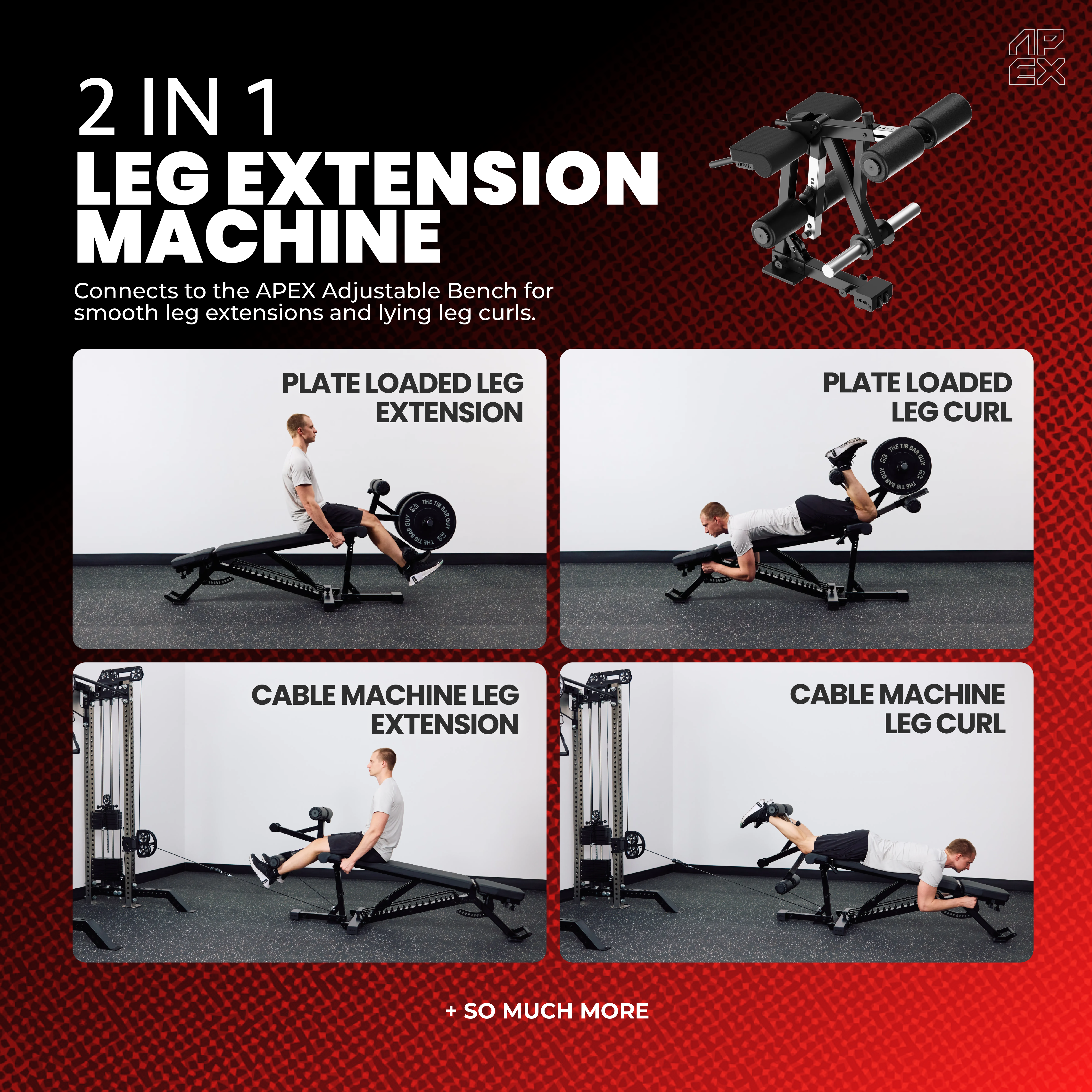 APEX Leg Extension Machine - Training