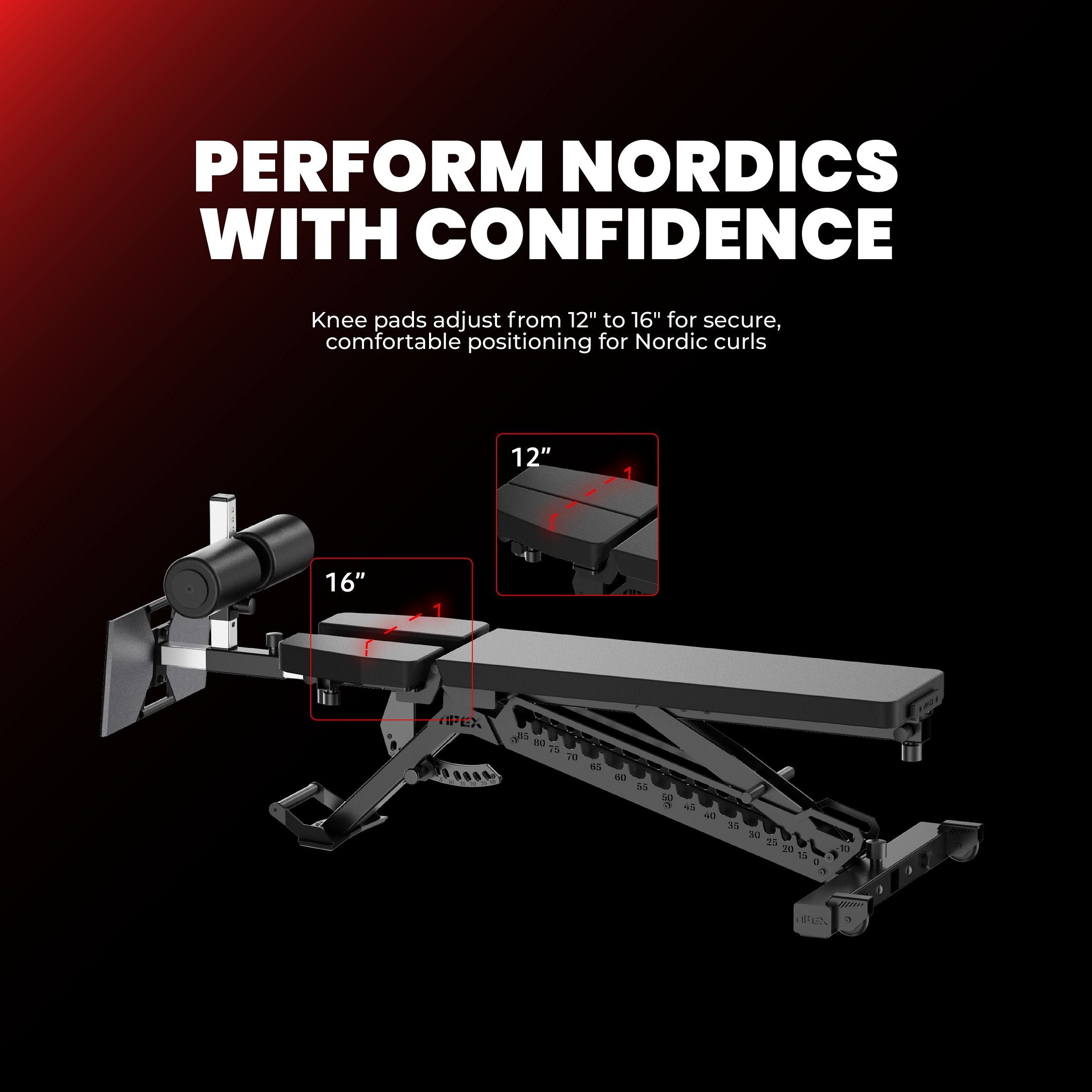 APEX Nordic Max - Perform Nordics with Confidence