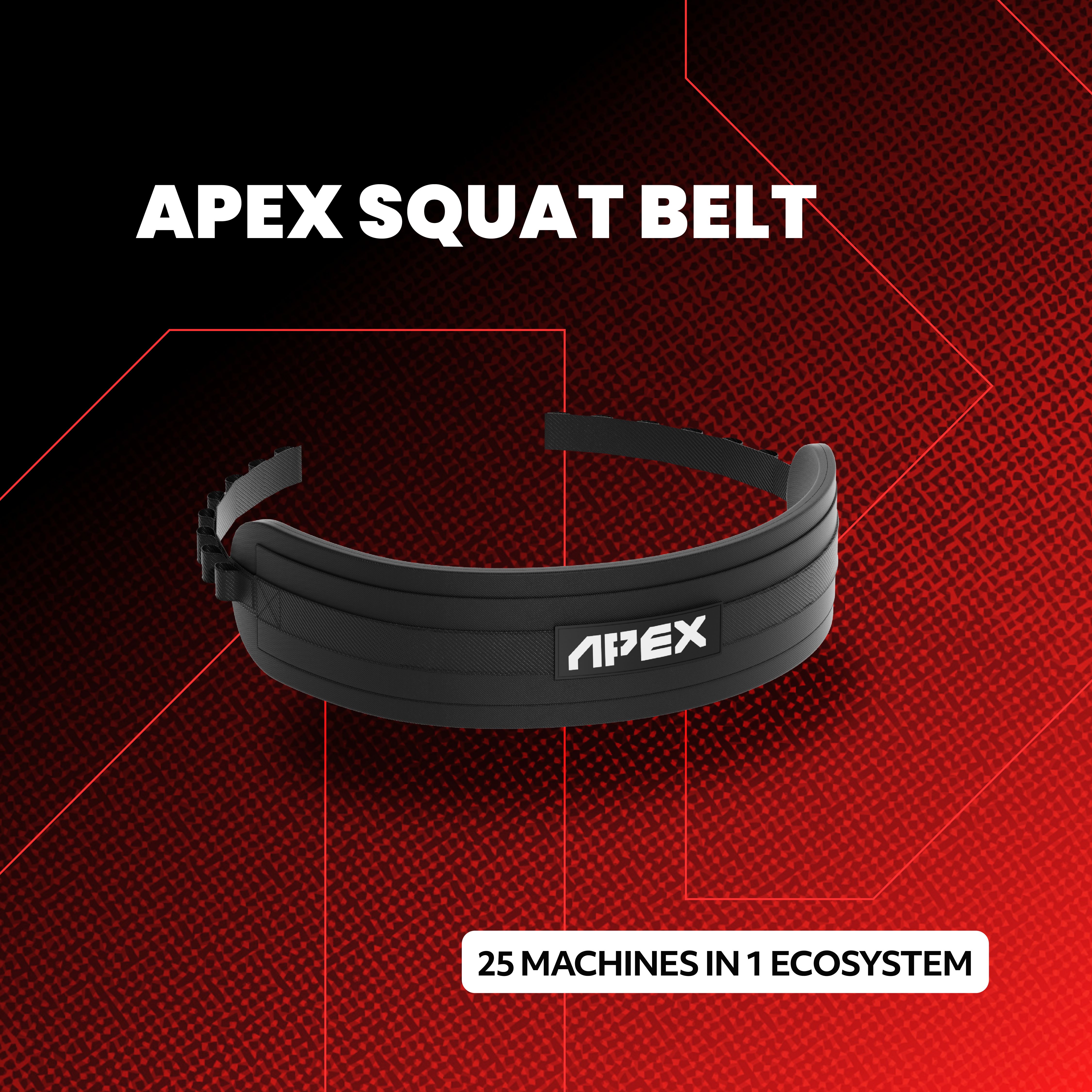 APEX Squat Belt for the APEX Adjustable Bench ecosystem.