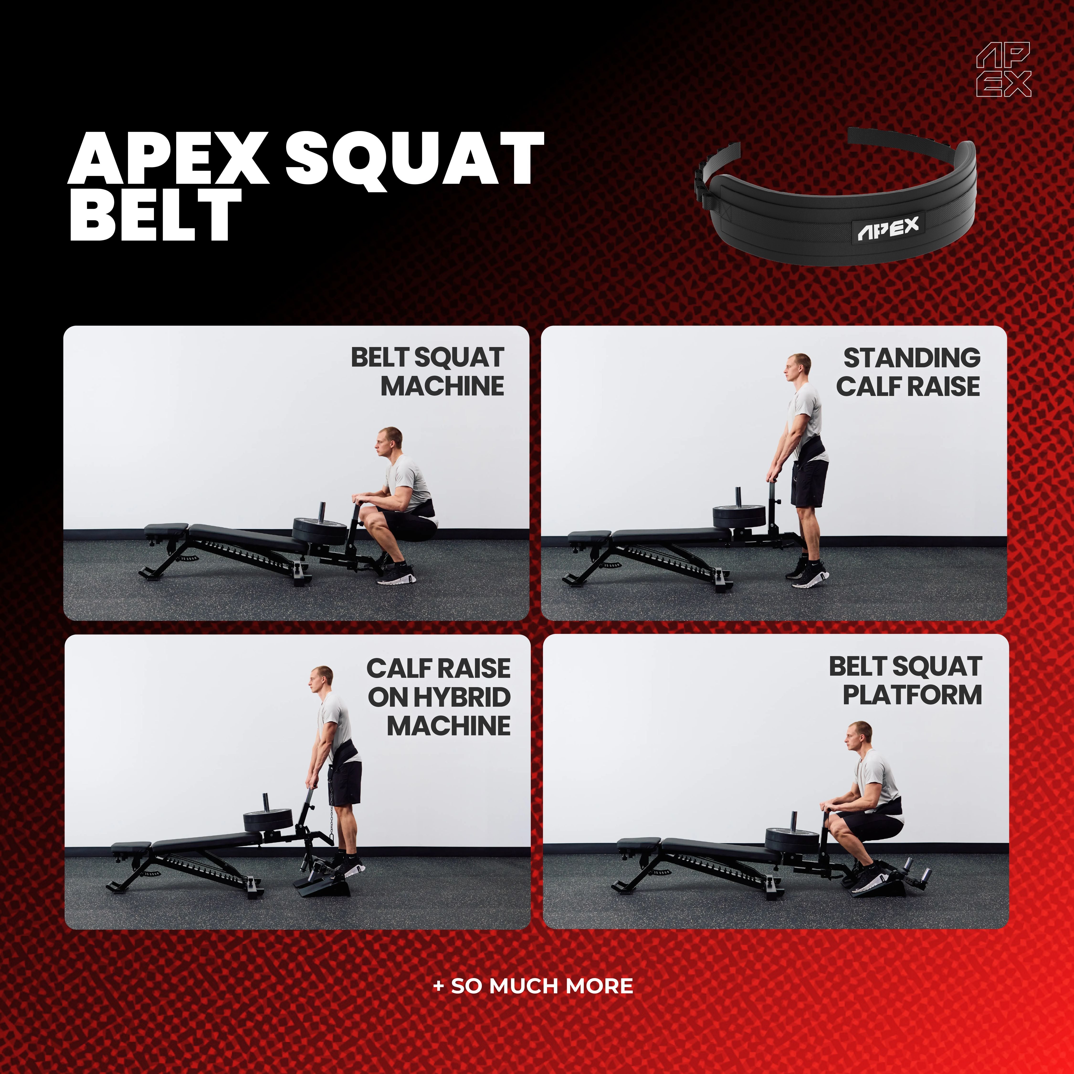 APEX Squat Belt with belt squats, calf raises, and squat platform exercises.