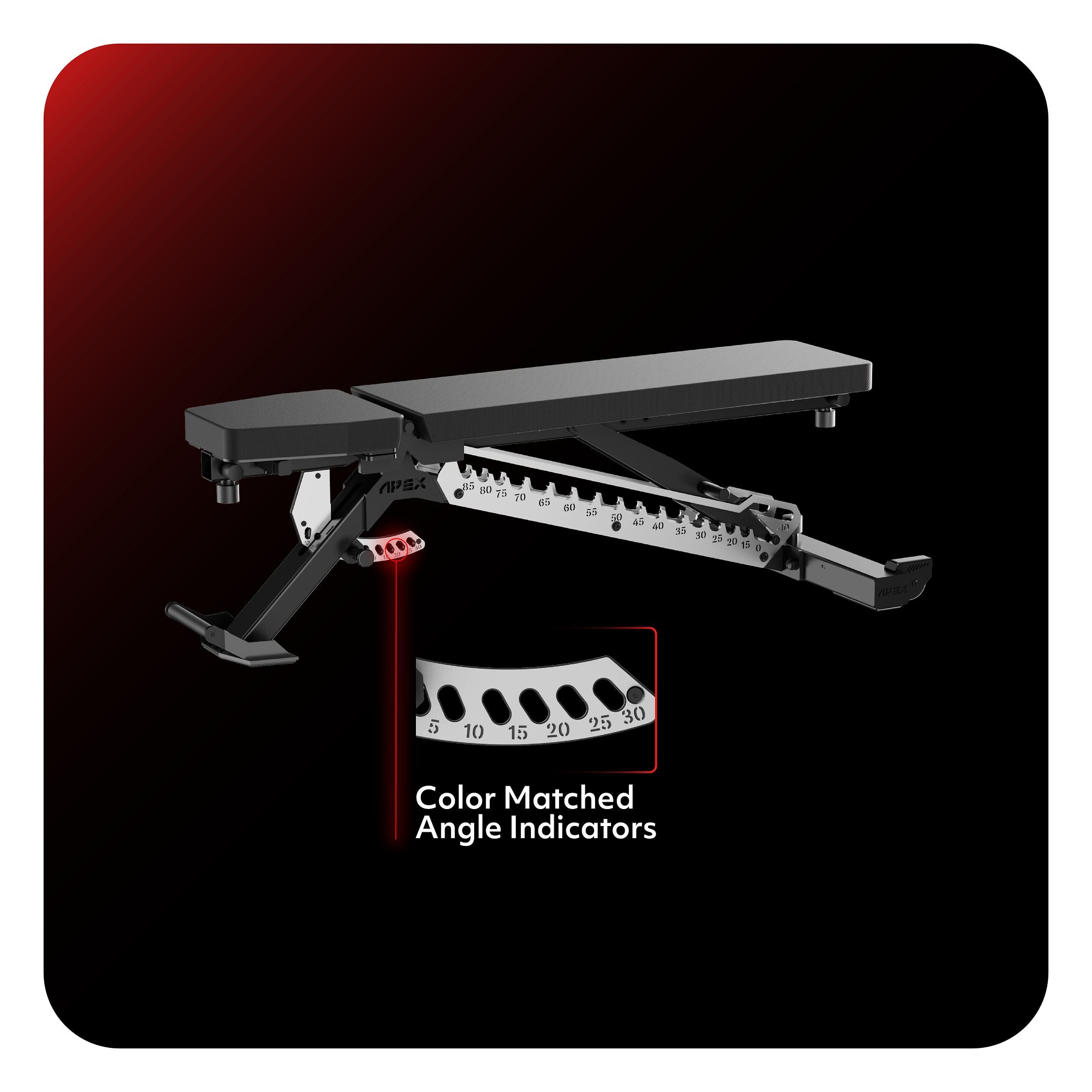APEX Adjustable Bench in Stainless with color matched angle indicators.