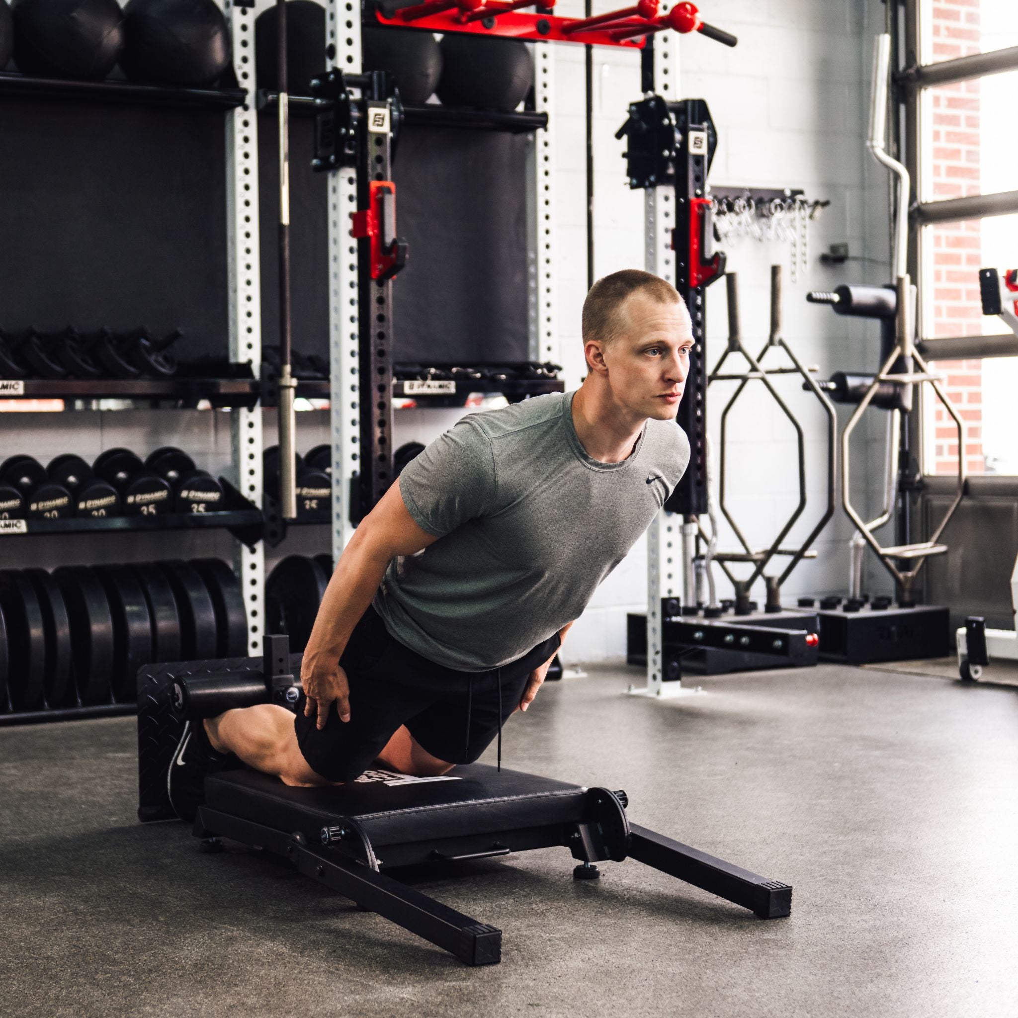 Nordic 2025 curl bench