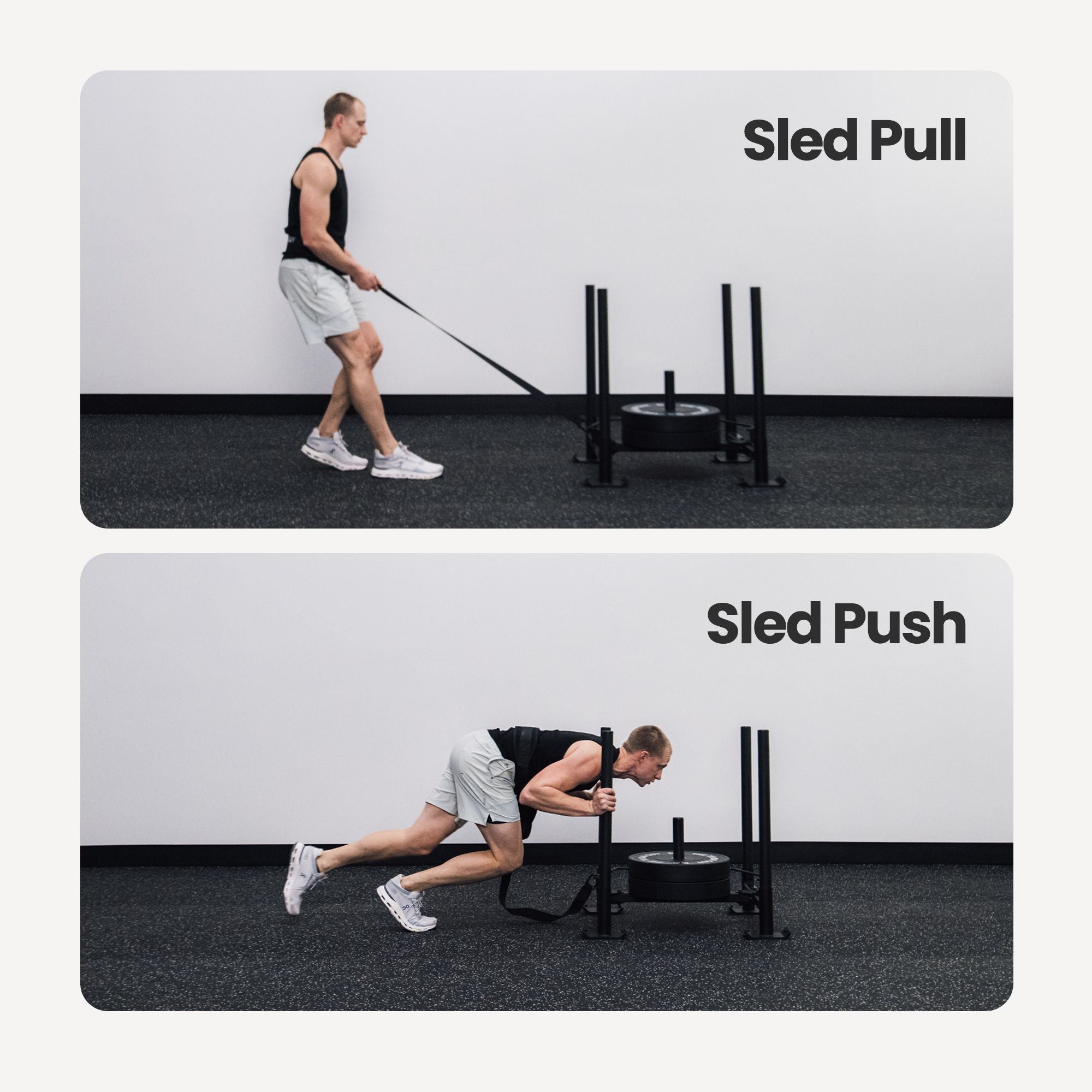 The Push-Pull Sled