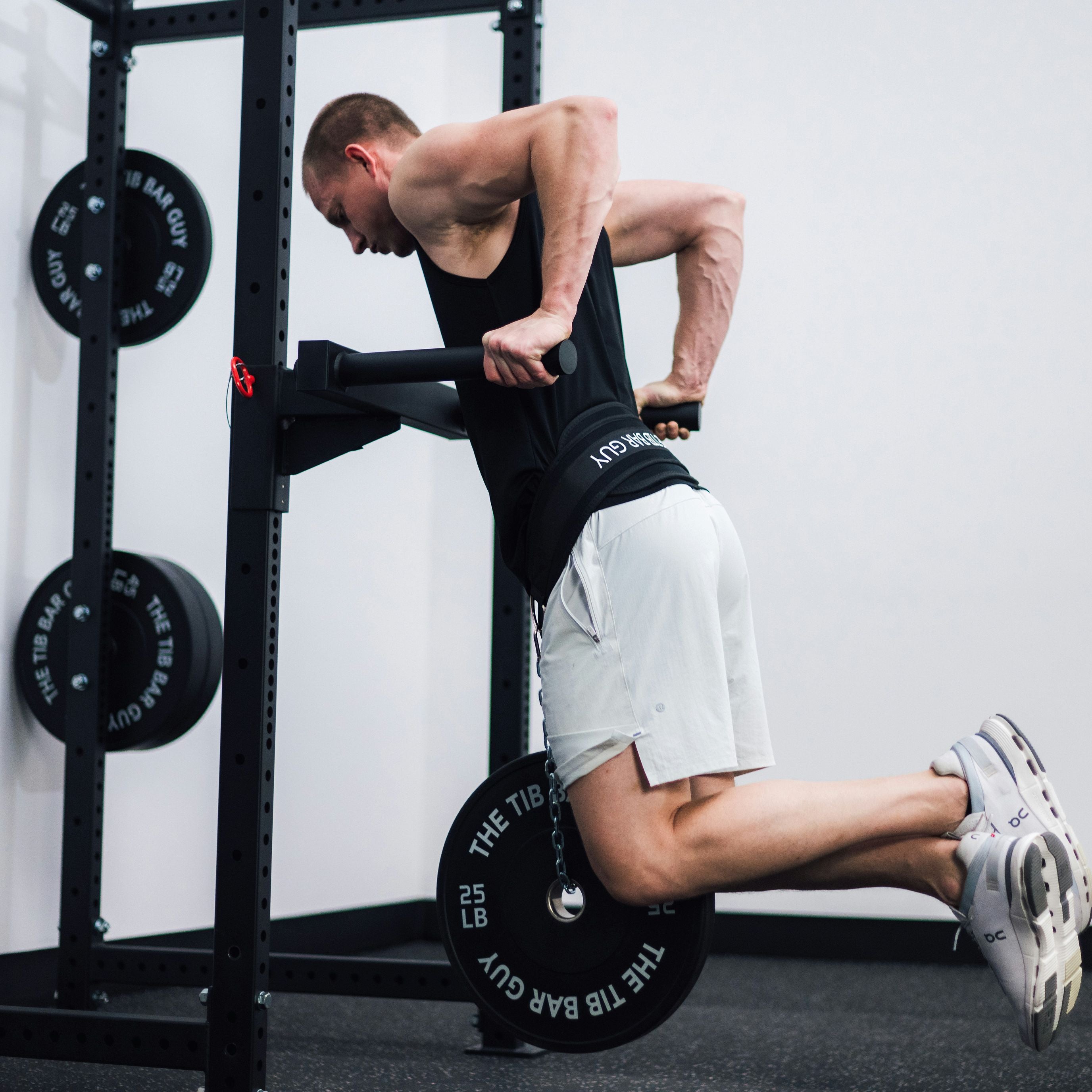 TBG Bumper Plates (160LBS) -  Plate Loaded Dips