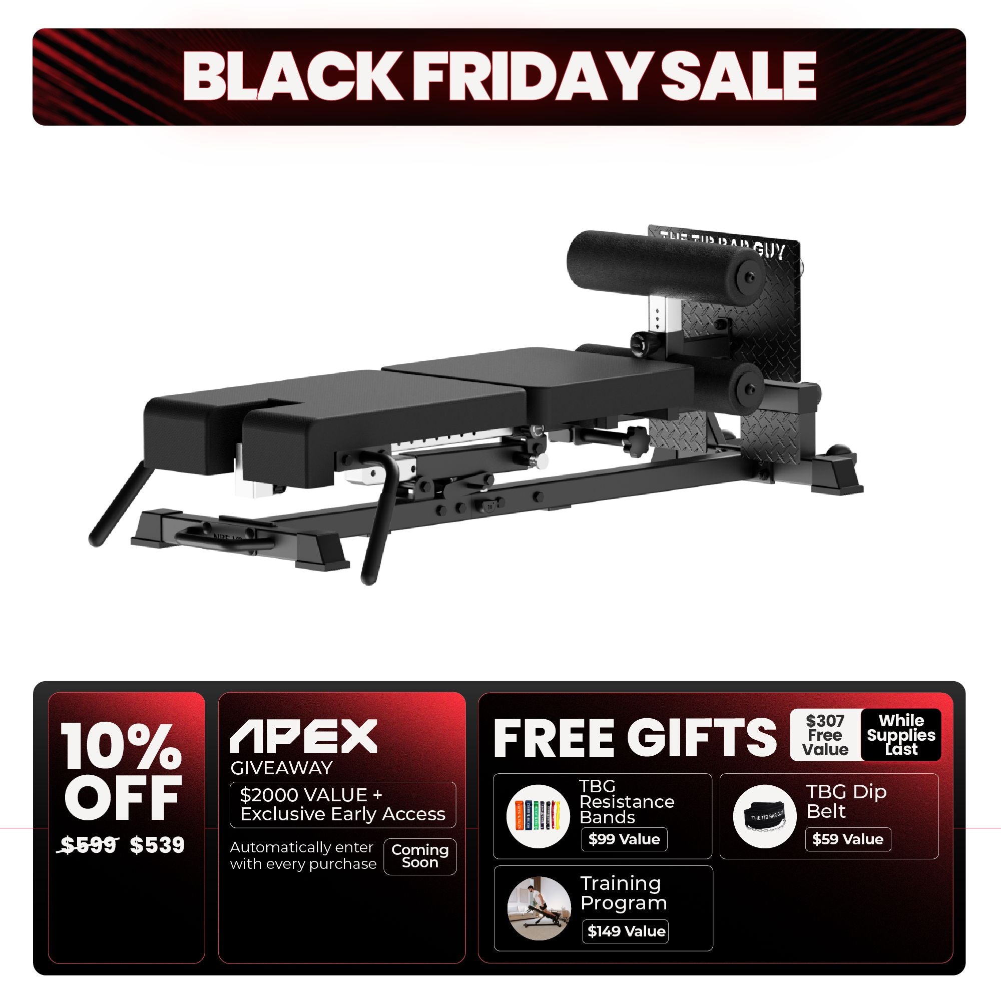 Nordic Back Extension Machine V2