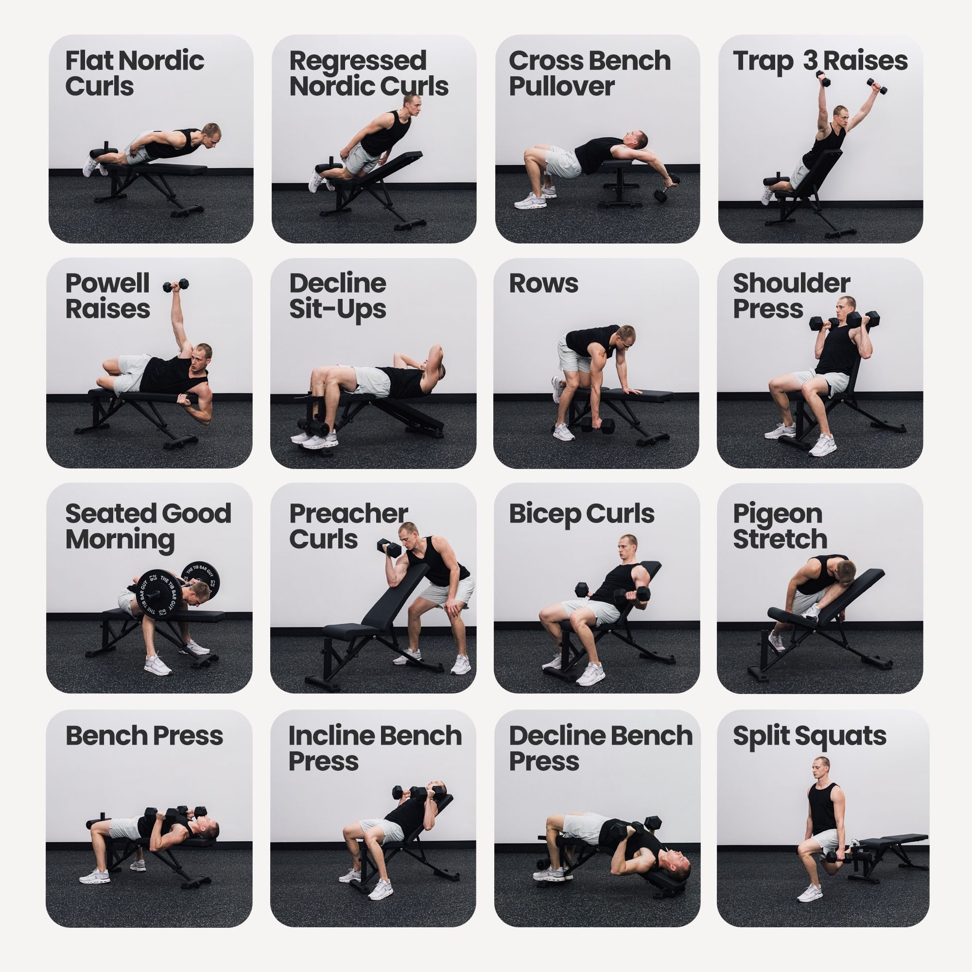 The Nordic Weight Bench - Exercises1