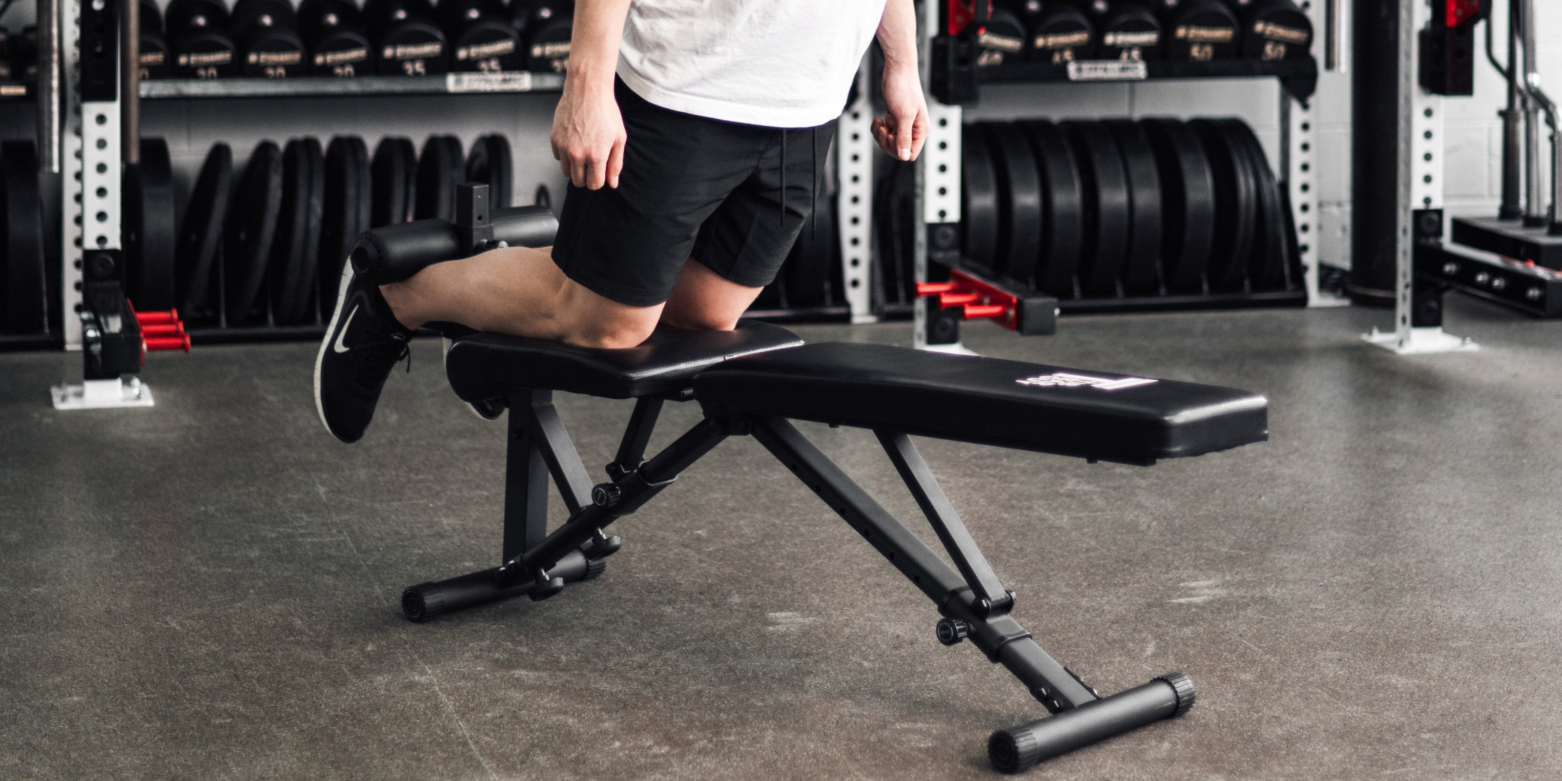 The Nordic Weight Bench - The Tib Bar Guy