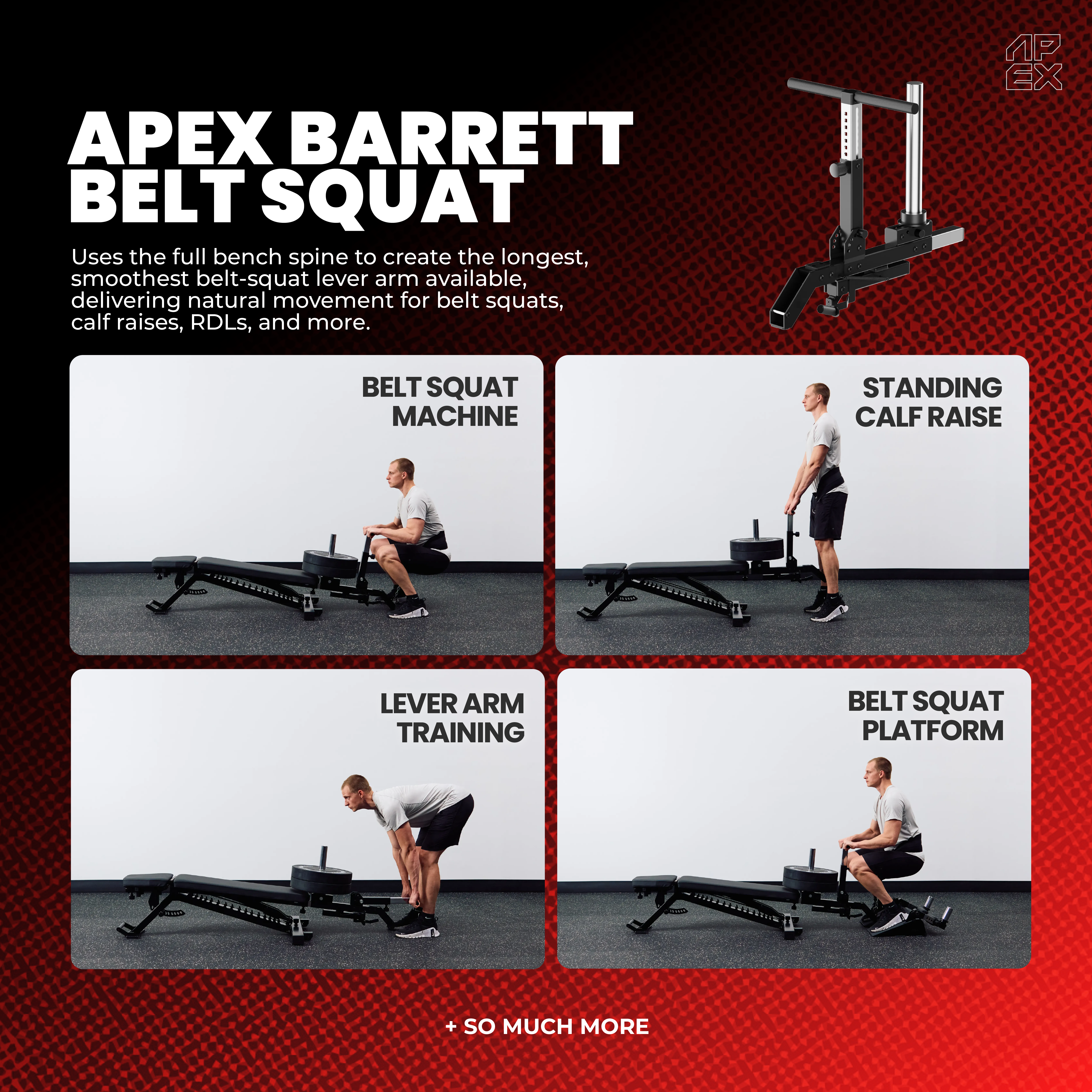 APEX BARRETT BELT SQUAT MACHINE