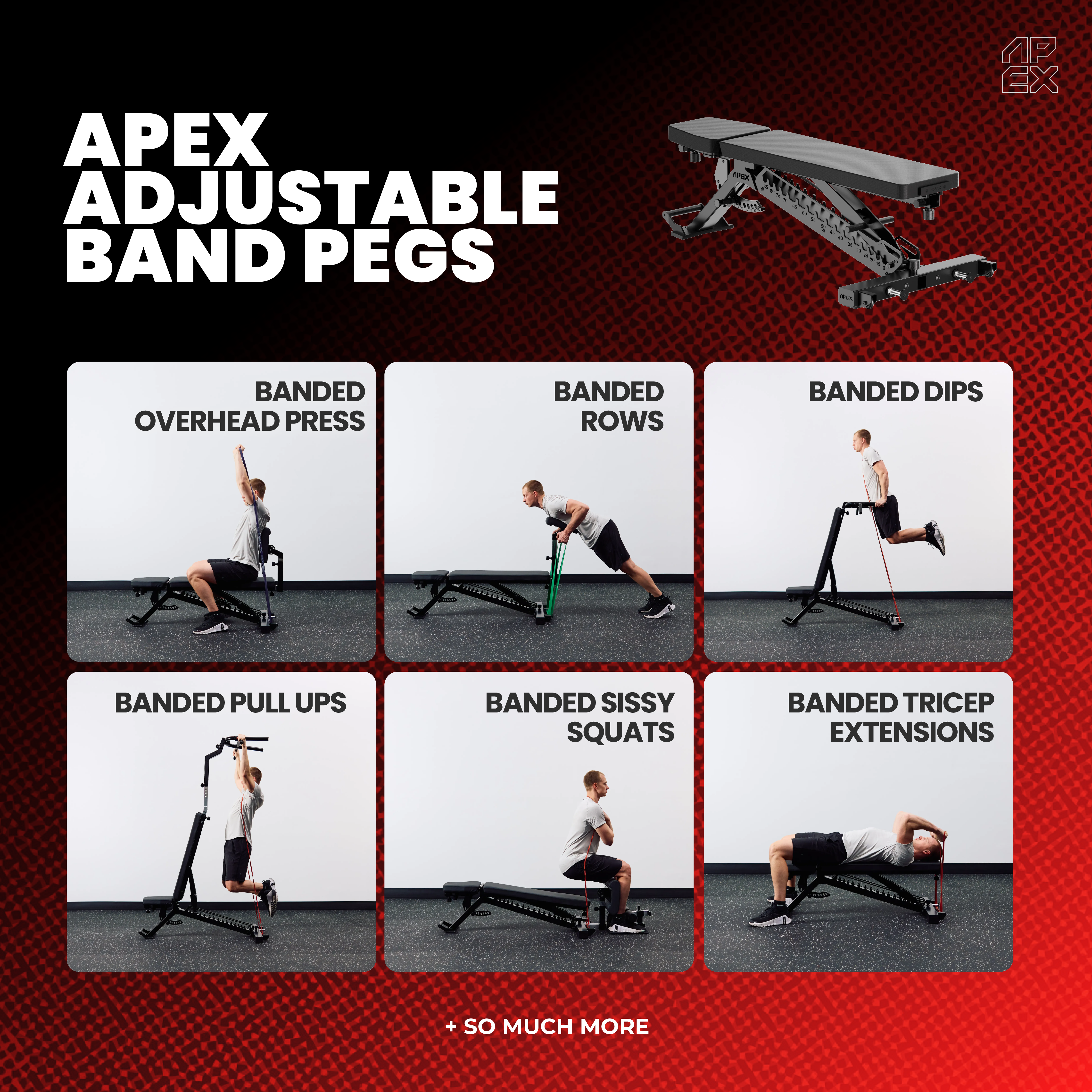 APEX BAND PEGS